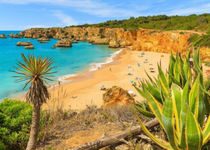 Vue panoramique des magnifiques plages de l'Algarve, avec ses eaux cristallines et ses étendues de sable doré, offrant un cadre paradisiaque pour les vacanciers et les amoureux de la mer.