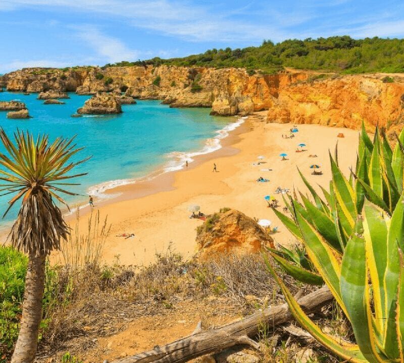 Vue panoramique des magnifiques plages de l'Algarve, avec ses eaux cristallines et ses étendues de sable doré, offrant un cadre paradisiaque pour les vacanciers et les amoureux de la mer.